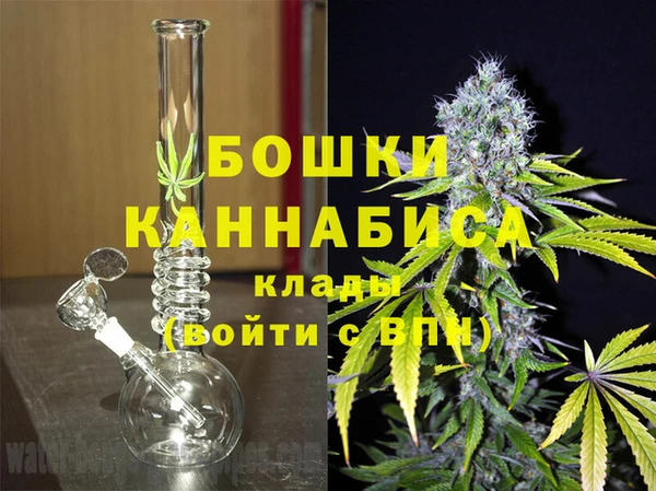 индика Богданович