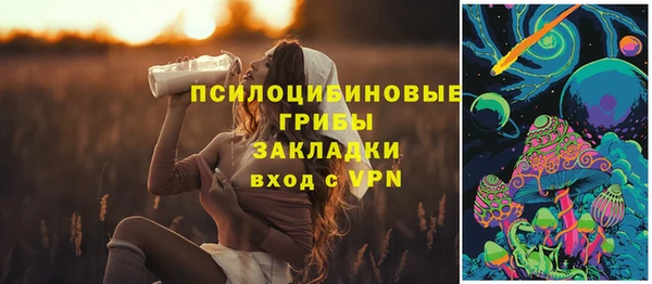 индика Богданович